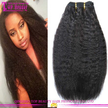Extensão Kinky do cabelo humano do Weave do cabelo reto do Afro do Virgin do Mongolian